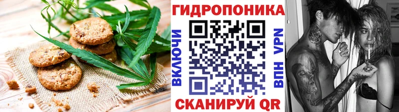 наркотики  OMG ссылка  Canna-Cookies конопля  Долинск 