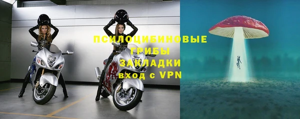 прущая мука Алзамай