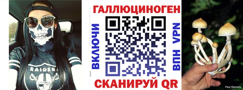 Псилоцибиновые грибы GOLDEN TEACHER Долинск